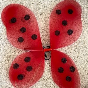 Kids lady bug wings.